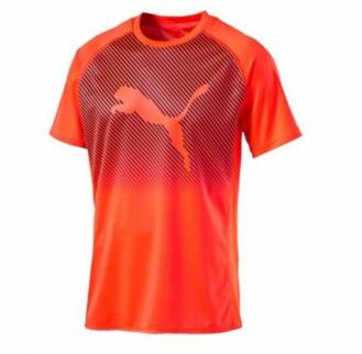 Training and Gym Shirts Jerseys Manufacturers in Singleton